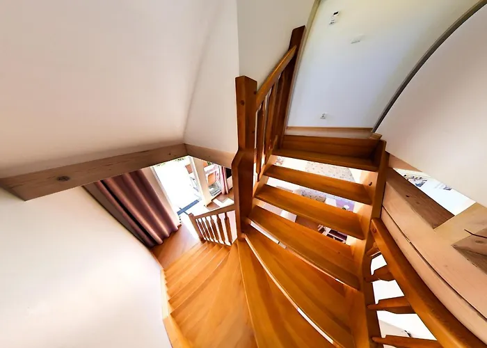 公寓 Apartmenty Magnolia 莱鲍