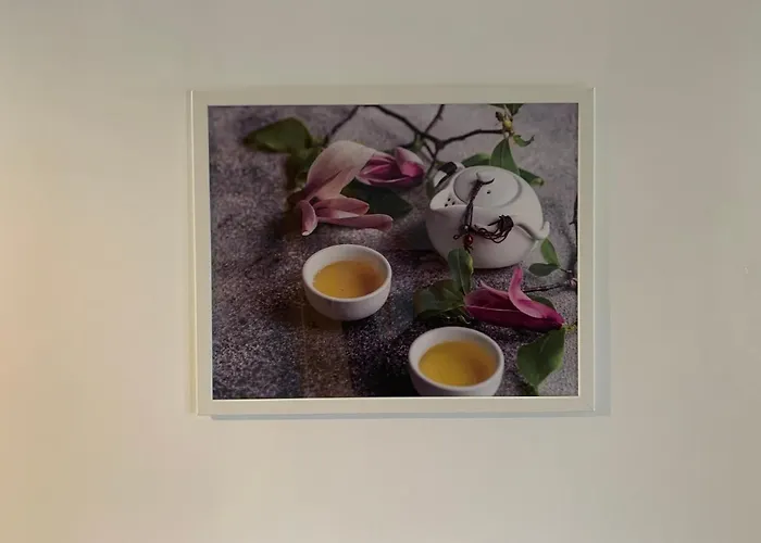 Apartmenty Magnolia * 莱鲍